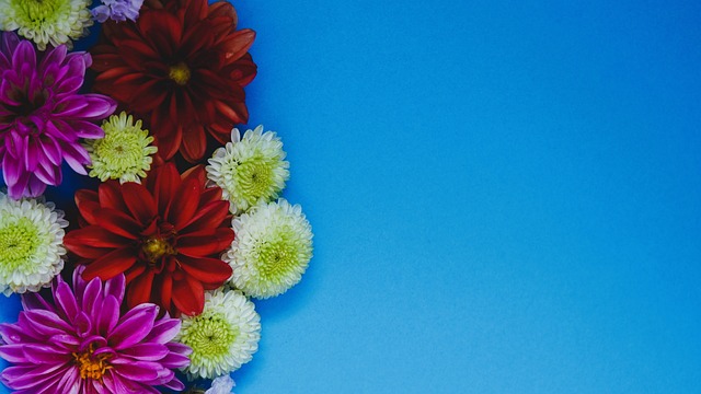 荣膺2025美职联MVP！梅西：我想和队友分享这份荣誉