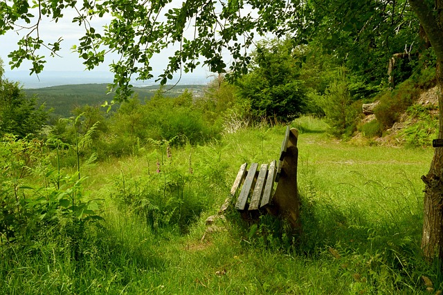 阿隆索：裁判的判罚让我非常生气，感觉像故意针对皇马